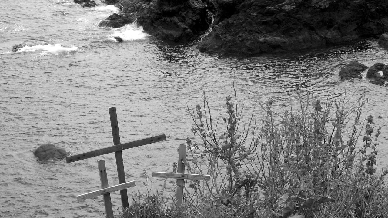 Lizard Point