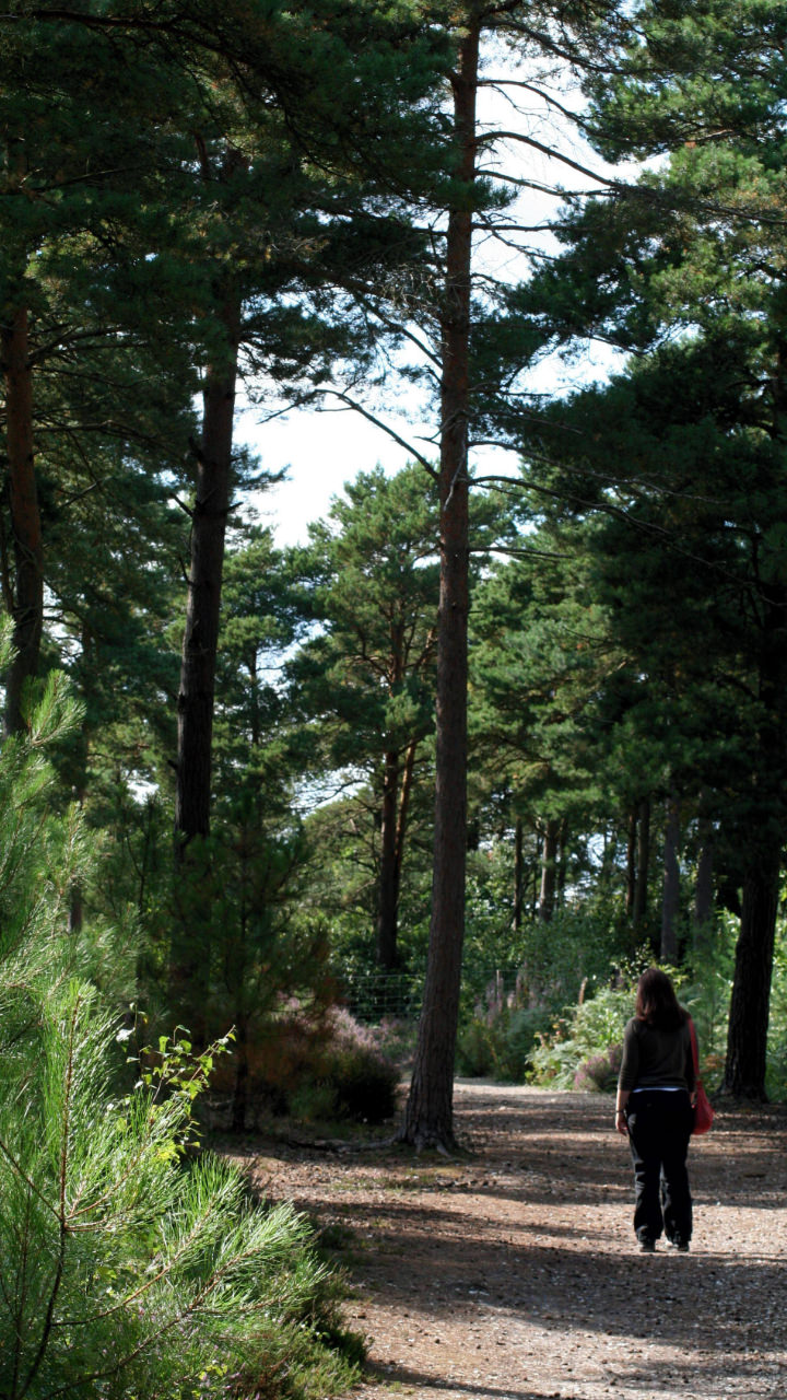 Brownsea Island