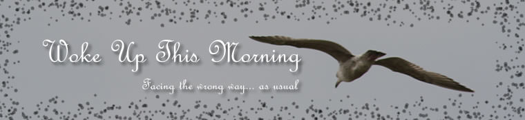 Woke Up This Morning header - Backwards bird