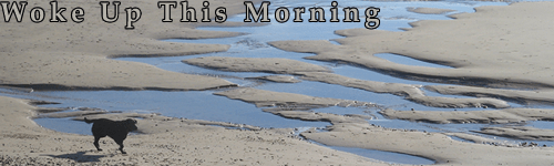 Woke Up This Morning header - Dog