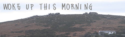 Woke Up This Morning header - Hill