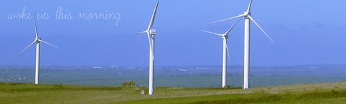 Woke Up This Morning header - Windmill