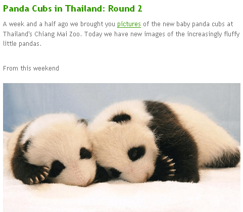 Zooborns screenshot