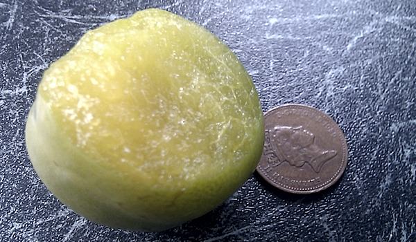 Greengage