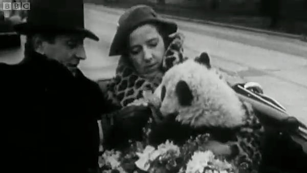 Panda Makers screenshot