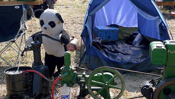 Baby Panda