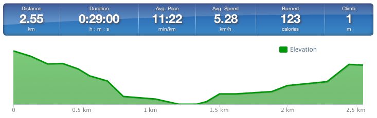 Running speed and elevation graph