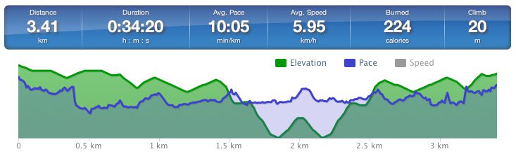 Running speed and elevation graph