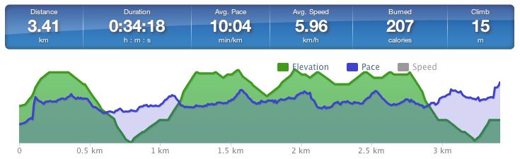 Running speed and elevation graph