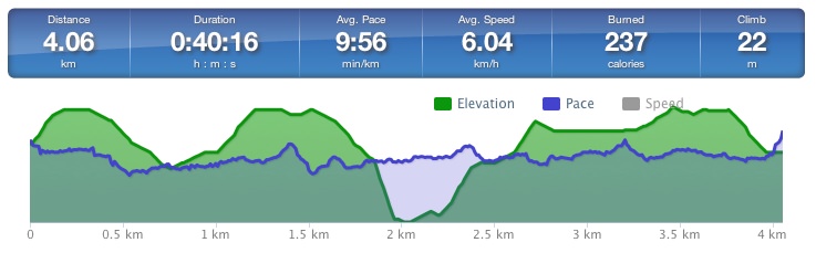 Running speed and elevation graph