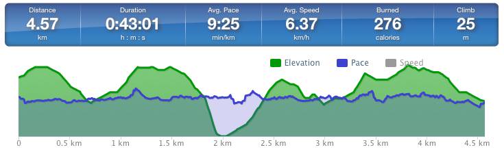 Running speed and elevation graph
