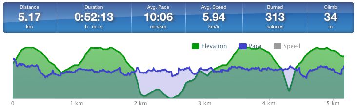Running speed and elevation graph