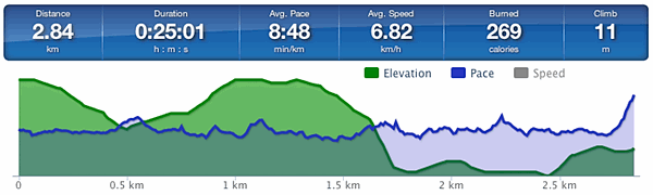Running speed and elevation graph