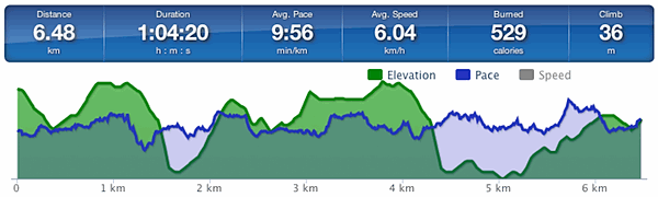 Running speed and elevation graph