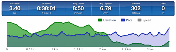 Running speed and elevation graph