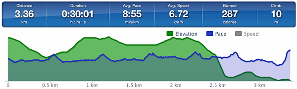 Running speed and elevation graph