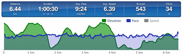 Running speed and elevation graph