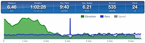 Running speed and elevation graph