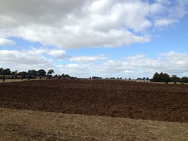 Ploughing match