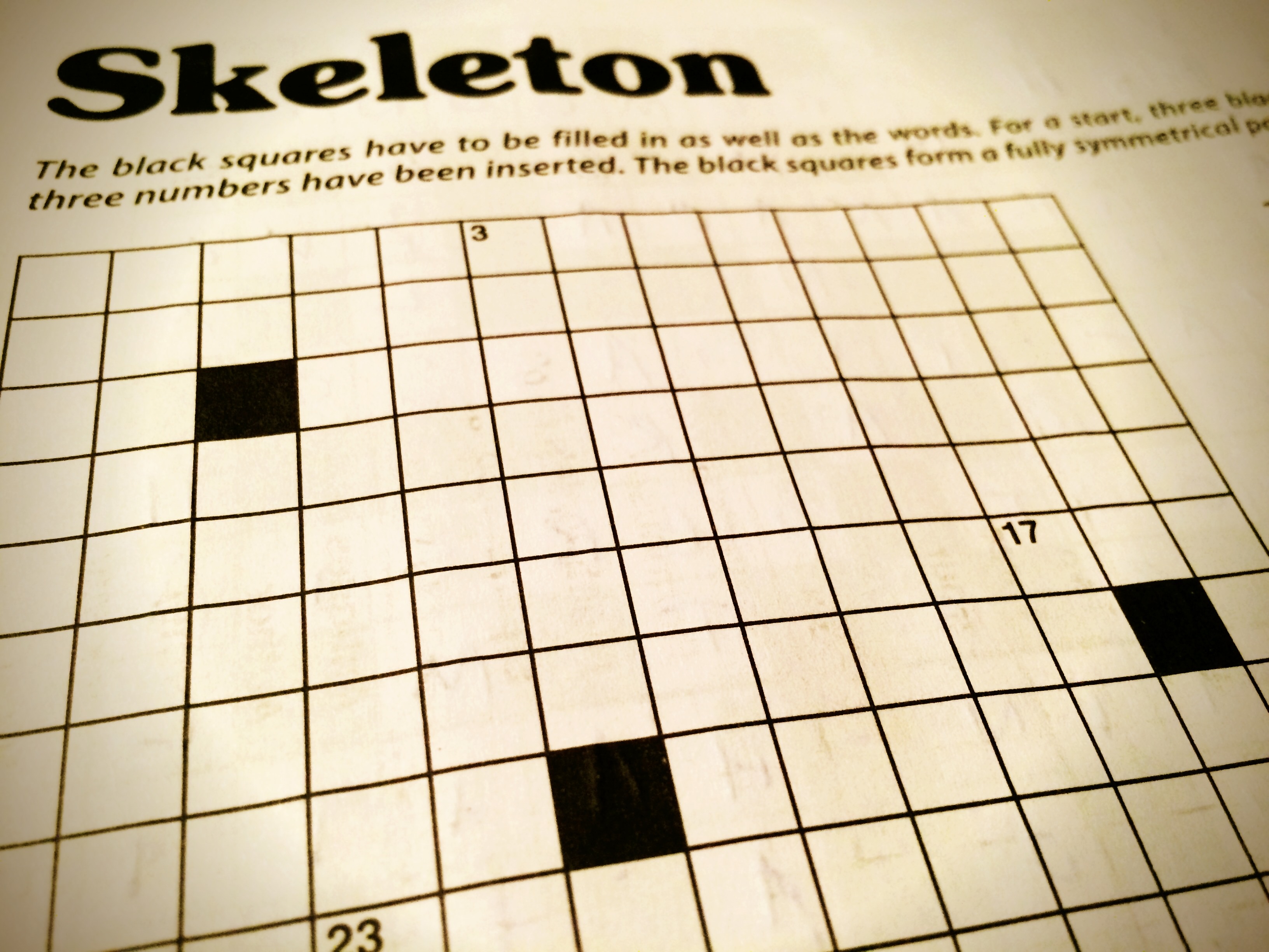 Puzzle skeleton