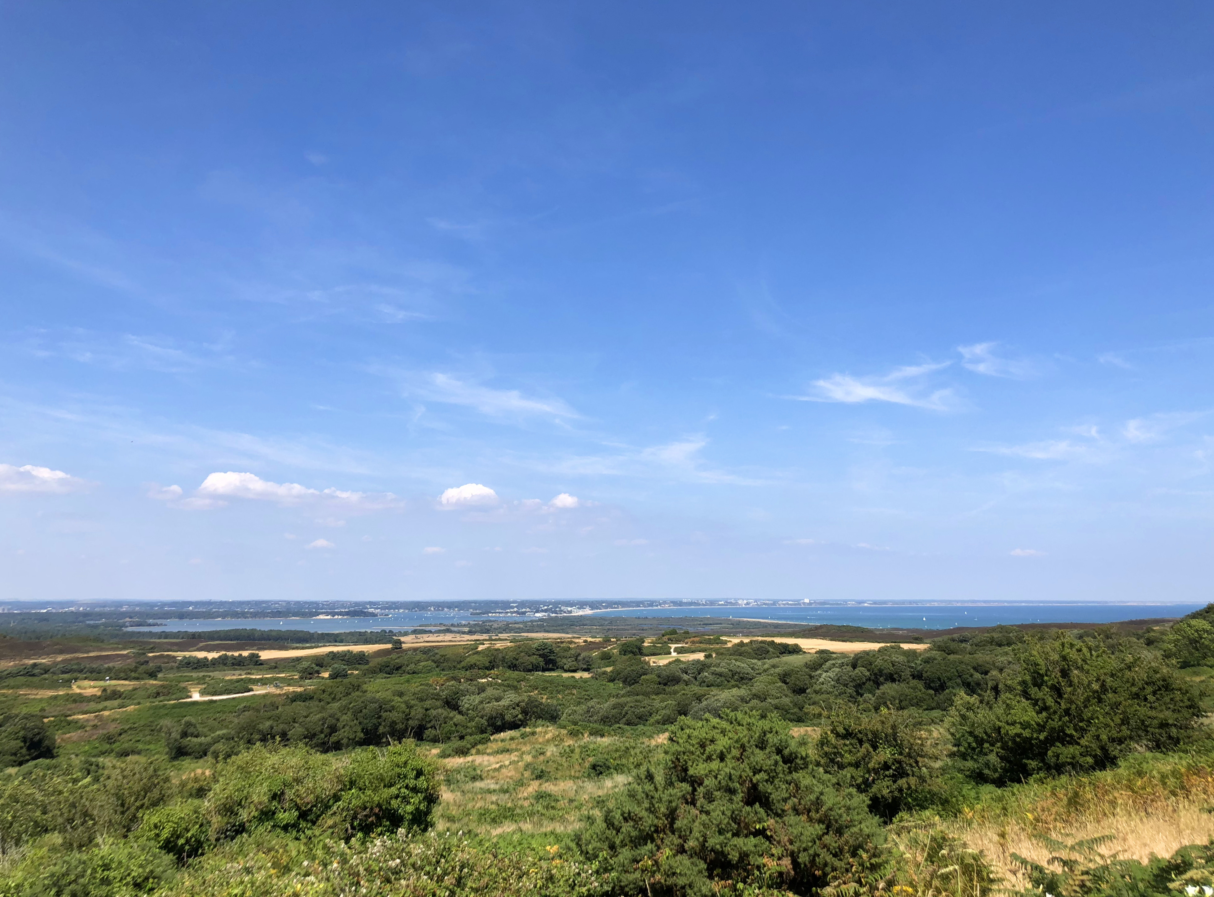 Putting the stud in Studland