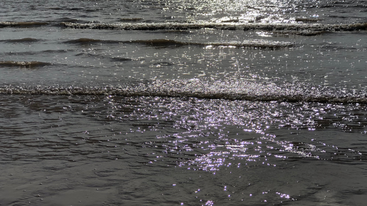 Waves at the beach