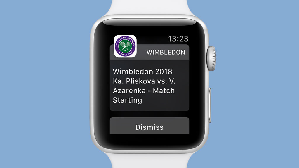 The summer tennis tournament