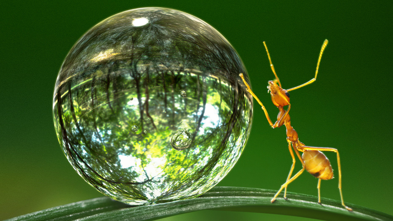 Tiny World