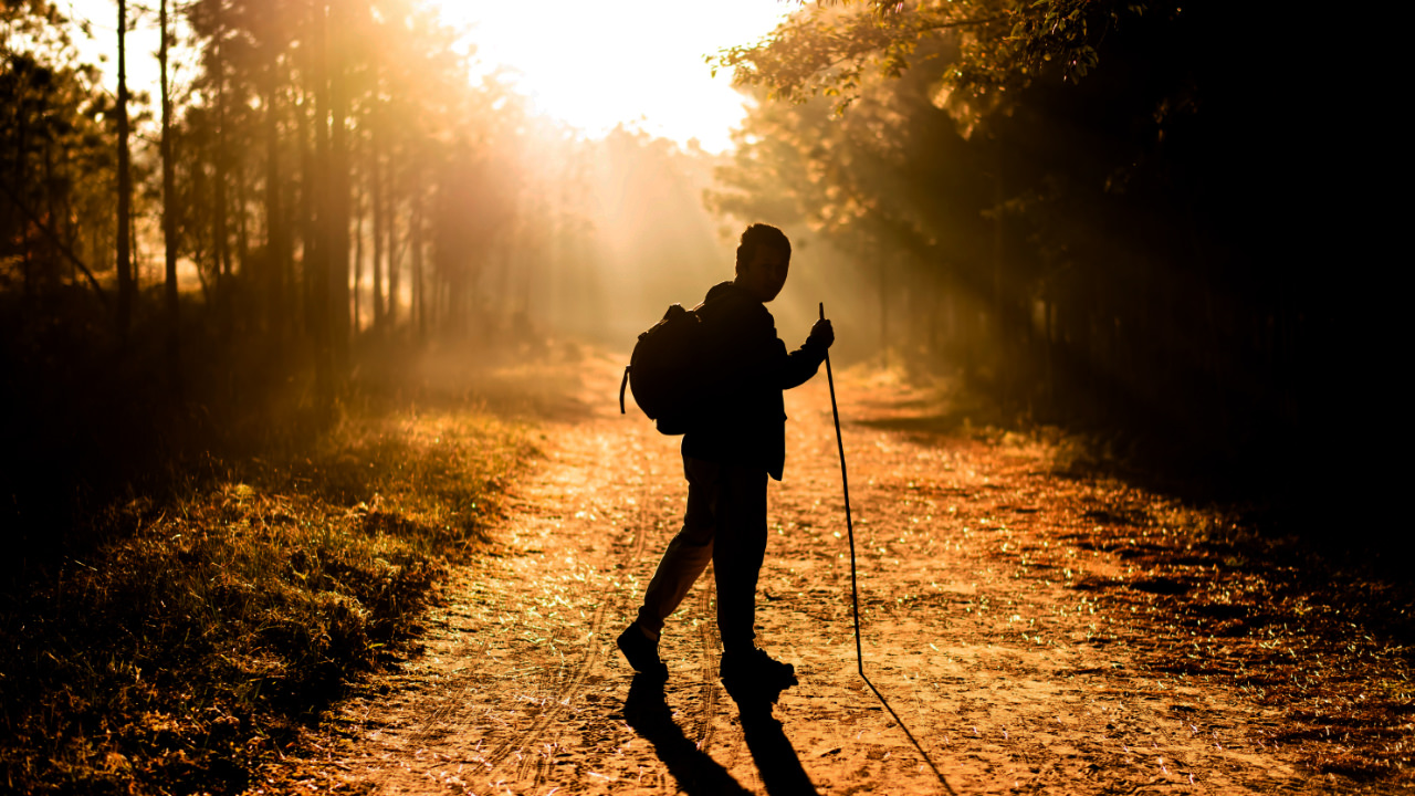 Walking in the shadows