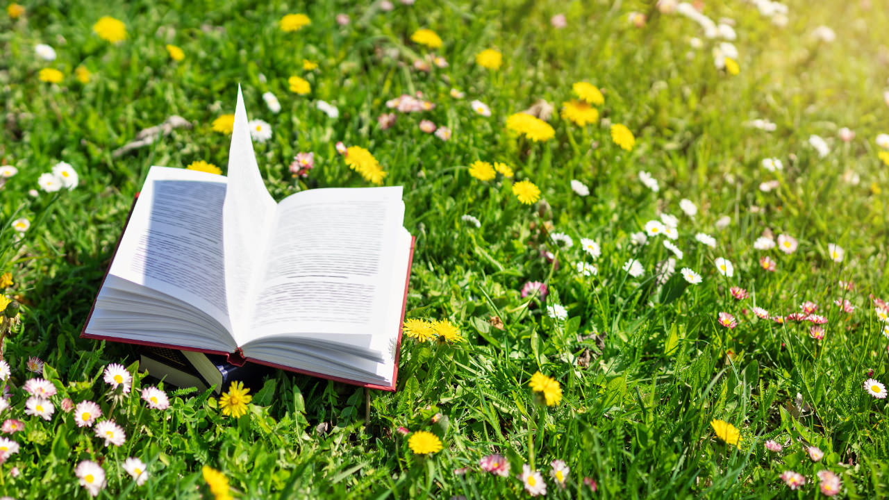 Open book in springtime grass with sunlight shining on it