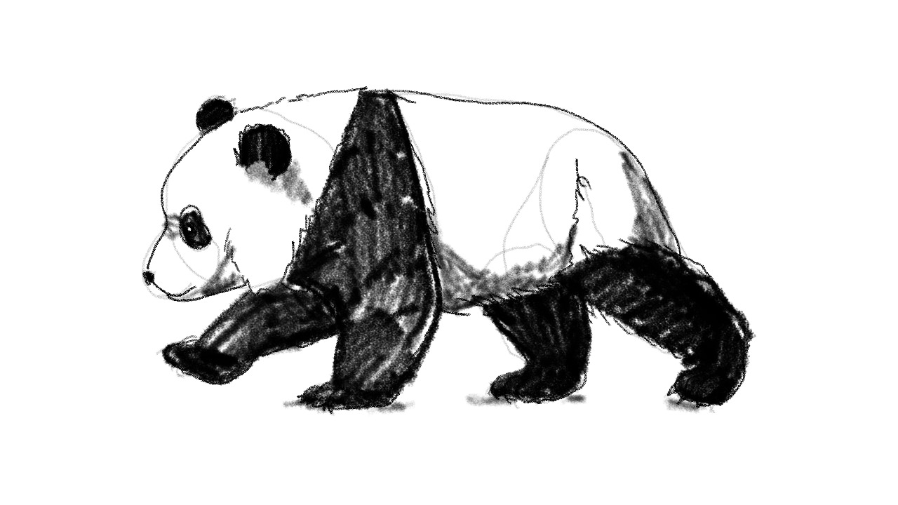 From pencil to panda