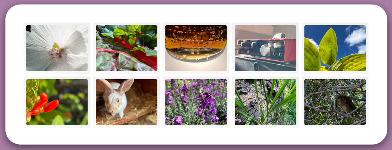 Screenshot of photos page with selection of images taken across the 30 day challenge