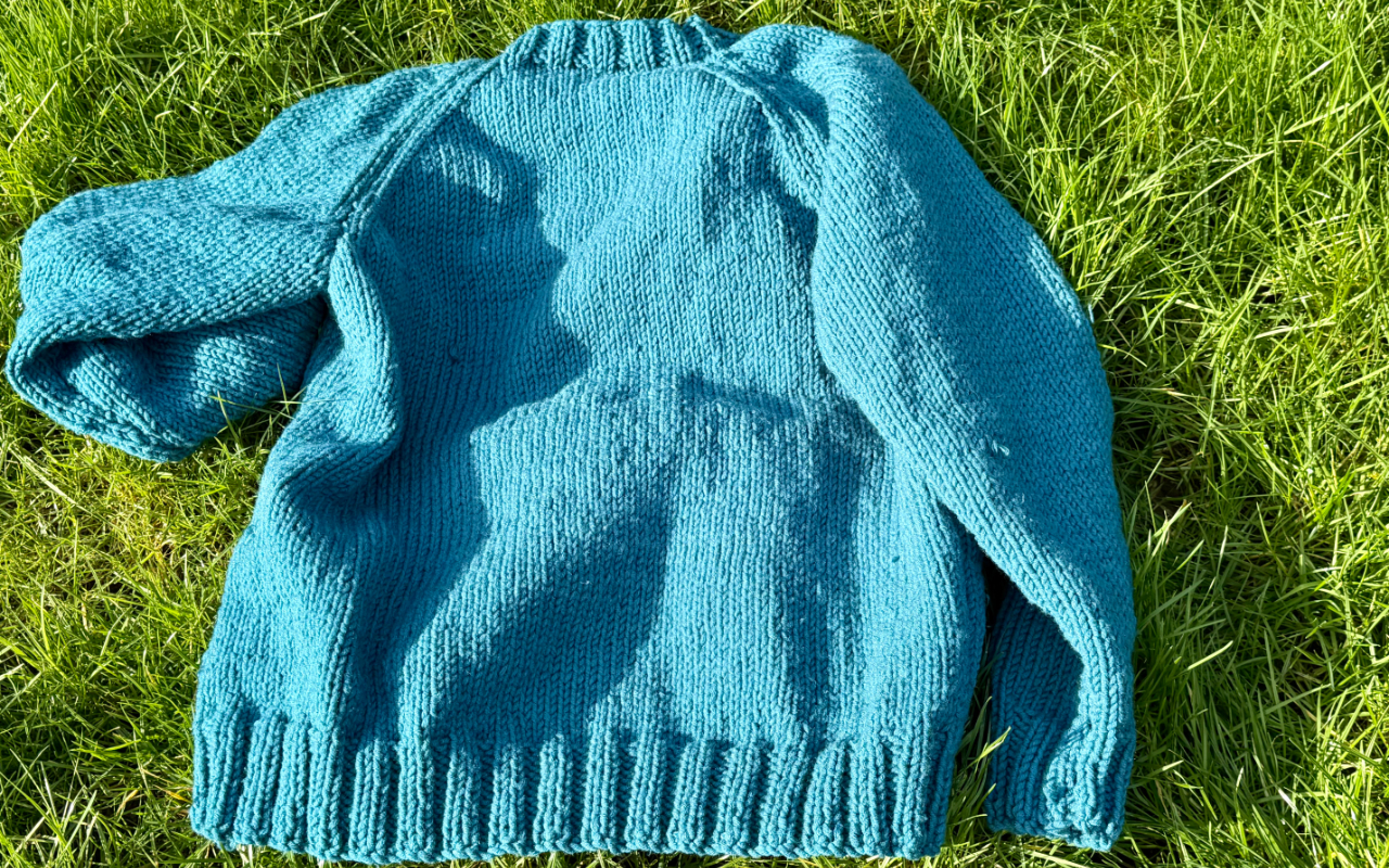 A knitted jumper in blue/green, lying flat on some long grass