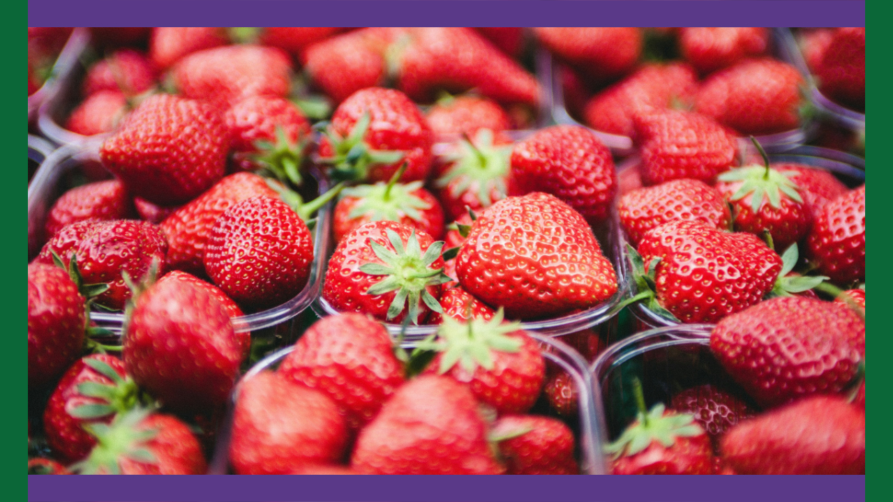 A photo of lots of clear baskets of strawberries lined up and ready to sell, the photo is framed with green and purple bars in Wimbledon colours