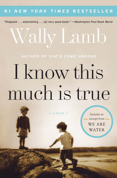 I Know This Much Is True by Wally Lamb