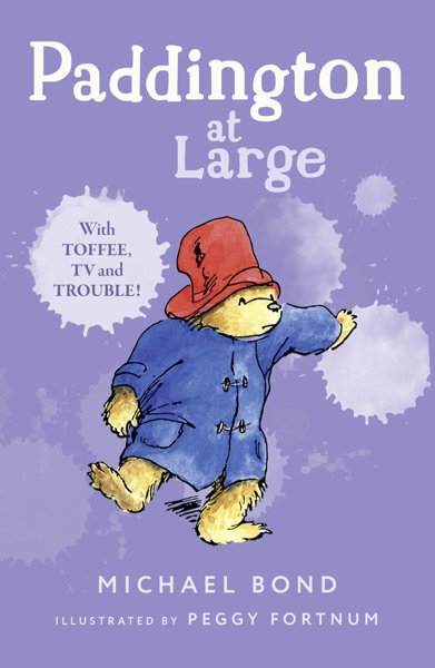 Paddington At Large by Michael Bond