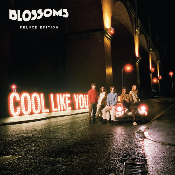 Cool Like You by Blossoms