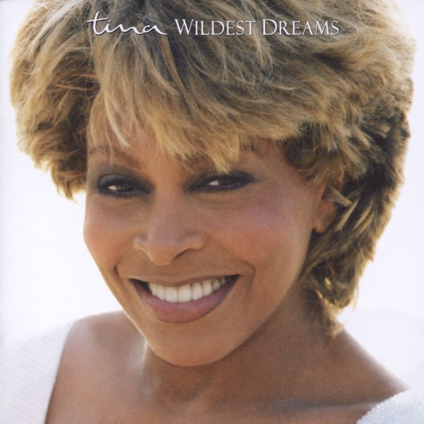 Wildest Dreams by Tina Turner