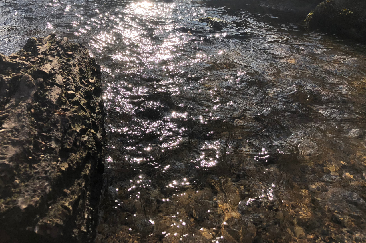 Let it ripple