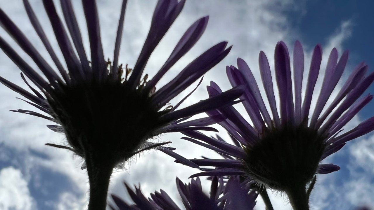 Point your face towards the sky