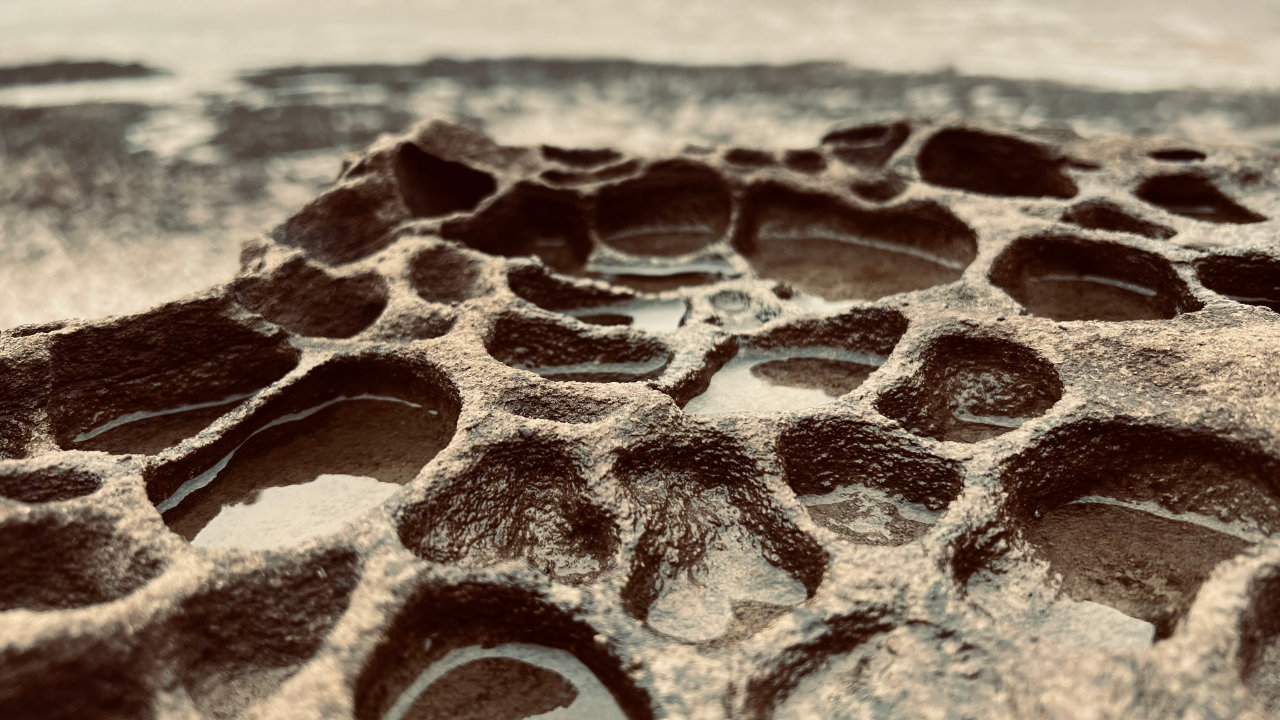 Rock pools