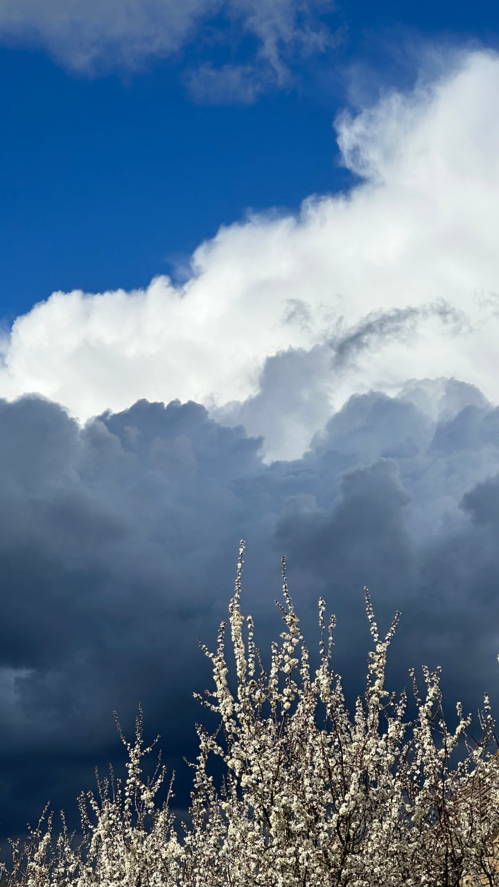 Layers of the sky