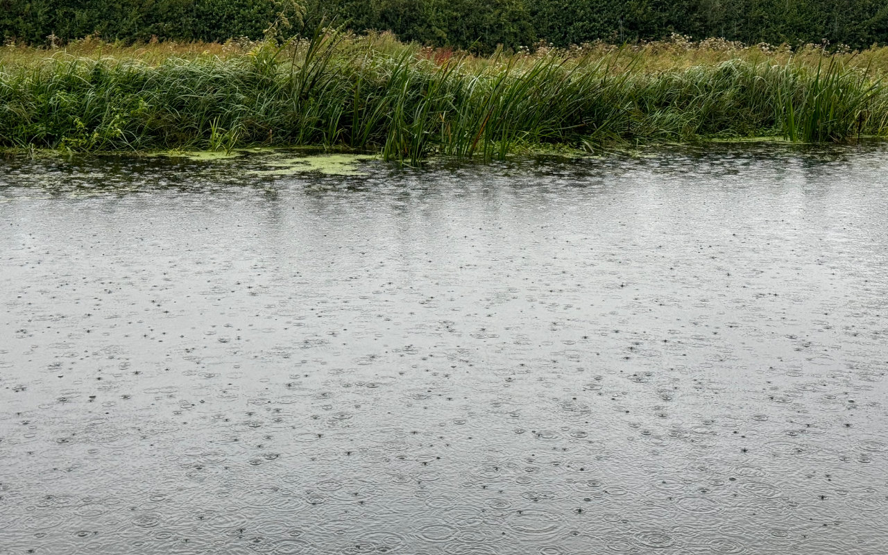 Dodgin' raindrops
