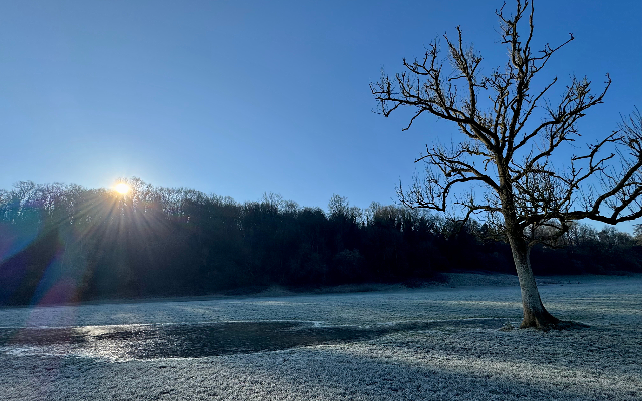 From winter to spring
